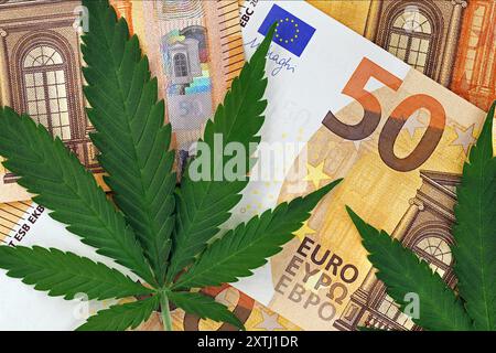 primo piano di cannabis, foglie di marijuana su banconote da 50 euro, foglie di canapa su denaro Foto Stock