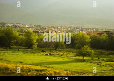 Una bella e tranquilla campagna soleggiata sul monte Pirin Foto Stock