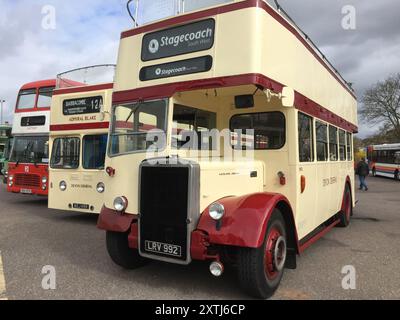 Autobus classici Devon General a due piani (aperti) in esposizione, Exeter, Devon, Inghilterra Foto Stock