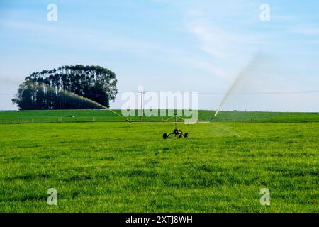 Centrare l'irrigazione con perno su un'azienda agricola Foto Stock