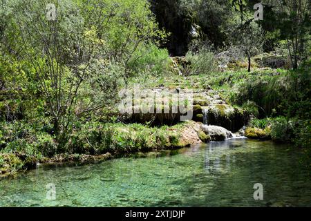 Sorgente del fiume Cuervo, affluente del fiume Guadiela, bacino del fiume Tajo. Comune di Vega del Codorno, provincia di Cuenca, Castilla-la Mancha, Spagna. Foto Stock