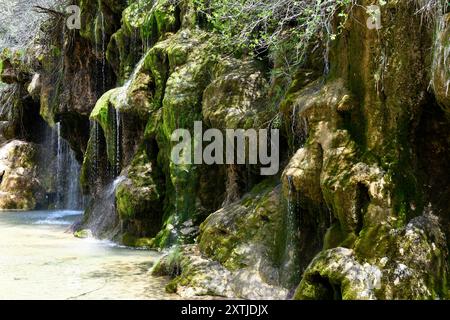 Sorgente del fiume Cuervo, affluente del fiume Guadiela, bacino del fiume Tajo. Comune di Vega del Codorno, provincia di Cuenca, Castilla-la Mancha, Spagna. Foto Stock