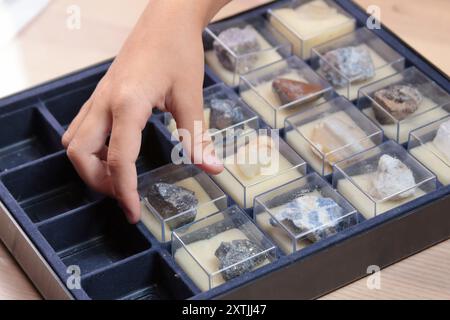 La studentessa studia la raccolta di rocce e minerali. Scuola e apprendimento. Risorse utili. Giovane geologo. Foto Stock