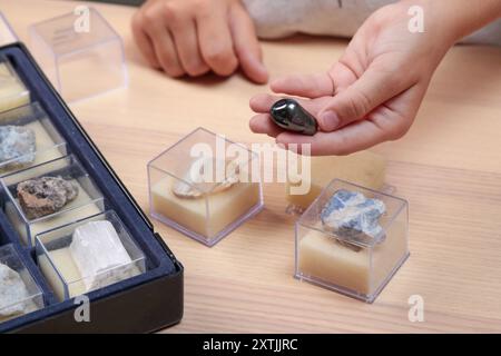 I bambini guardano la collezione di rocce e minerali e mostrano onice nero. Scuola e apprendimento. Risorse utili. Giovane geologo. Foto Stock