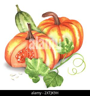 Due zucche arancioni, zucca verde, foglie e semi. Bella clipart autunnale del raccolto. Composizione delle cadute. Illustrazione ad acquerello disegnata a mano. Foto Stock