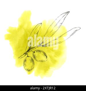 Ramoscello d'ulivo lavorato a mano con due olive, sovrapposte su uno sfondo di acquerello giallo. Illustrazione isolata per confezioni alimentari gourmet, prodotti naturali per la cura della pelle o marchi artigianali di olio d'oliva Foto Stock