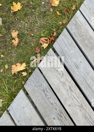 Erba e foglie autunnali e sfondo in legno grigio Foto Stock