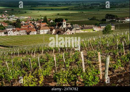 Morey-St-Denis Borgogna e chiesa vista sul vigneto Clos des Lambrays Grand Cru, Côte d'Or, Francia. [Côte de Nuits] Foto Stock