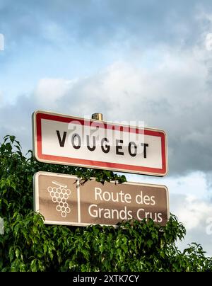 VOUGEOT Route des Grands Crus Road cartello con il sole del tardo pomeriggio Vougeot Borgogna Francia Foto Stock