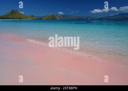 La migliore spiaggia del mondo; Spiaggia Rosa - Isola di Komodo, Indonesia Foto Stock