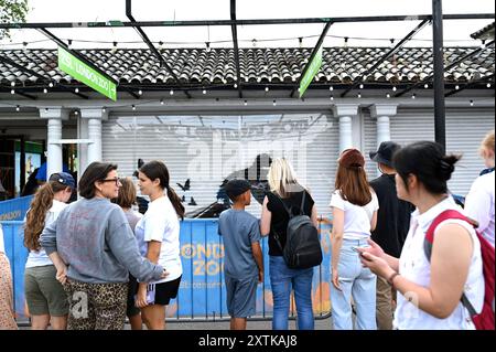 L'ultimo pezzo, della serie di animali di Banksy, è stato presentato all'inizio di martedì 13 agosto al mattino, allo Zoo di Londra , raffigura un gorilla che solleva un cancello mentre vari animali, tra cui un leone marino e un trio di occhi curiosi, sono visti sullo sfondo . Ha attirato un sacco di visitatori e di attenzione da parte dei media . I passanti di sono stati deliziati da una nuova aggiunta a sorpresa . Foto Stock