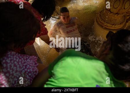 15 agosto 2024, Calzada del Coto, Castilla Y Leon, Spagna: Una giovane donna viene gettata in una fontana d'acqua mentre un trattore tira un carro pieno di legna da ardere per le strade di Calzada del Coto, durante i preparativi per la celebrazione del falò di San Roque. La città di Calzada del Coto celebra il falò di San Roque, una tradizione che ha più di settant'anni. Si tratta del fatto che all'alba del 15 agosto, gli anziani salgono sulla montagna per raccogliere legna da ardere di quercia e riempire un carro trainato da un trattore, per entrare in città con una grande festa e prepararsi per il grande bonfir Foto Stock