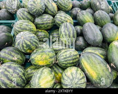 I dolci angurie si accumulano da fattorie biologiche nel vassoio di plastica per la vendita al supermercato, vista frontale con sfondo. Foto Stock