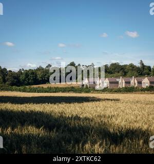 Vista estesa sul campo. Lovedon Fields, Kings Worthy, Regno Unito. Architetto: John Pardey Architects, 2017. Foto Stock