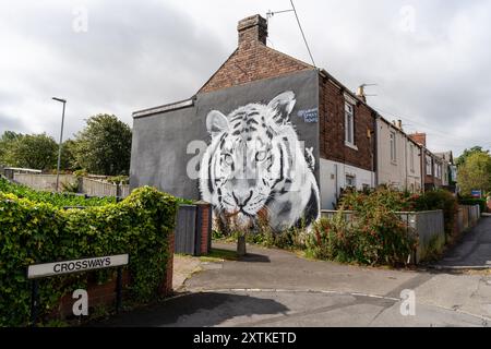 Sacriston, Contea di Durham, Regno Unito. Murale della tigre su un muro a timpano a Crossways, un punto di riferimento della città. Foto Stock