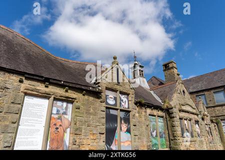 Stanley. Contea di Durham, Regno Unito. Ex West Stanley Board School in Front Street - edificio abbandonato con pannelli d'arte Foto Stock