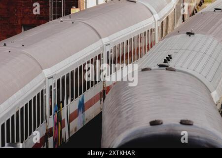 Berlino, Germania. 15 agosto 2024. Treno regionale della Deutsche Bahn, fotografato nel quartiere Friedrichshain di Berlino, 15 agosto 2024. Credito: dpa/Alamy Live News Foto Stock