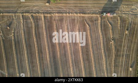 Scatti in droni o immagini aeree del fieno che si riversa in terreni agricoli nella campagna del Norfolk, vicino al Broads National Park, Ludham Norfolk. Foto Stock