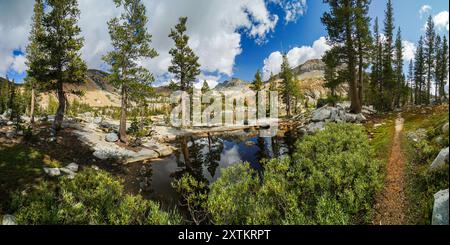 Un bellissimo paesaggio montano con un fiume che lo attraversa. Gli alberi sono lussureggianti e verdi, e il cielo è limpido e blu. La scena è tranquilla e.. Foto Stock