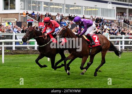 Night Breeze guidato da Kieran o'Neill (a sinistra) vince il Tote Placepot Leg 4 Racing League Race 25 handicap con Lieber Power guidato da Oisin Murphy secondo durante la Racing League al Royal Windsor Racecourse di Windsor. Data foto: Giovedì 15 agosto 2024. Foto Stock