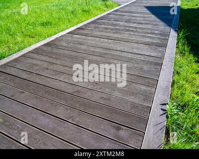 Passerella in legno del parco realizzata in pannelli di terrazze Foto Stock