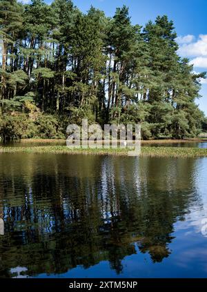 Beecraigs Country Park loch, vicino a Linlithgow, Scozia Foto Stock