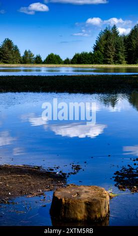 Beecraigs Country Park loch, vicino a Linlithgow, Scozia Foto Stock