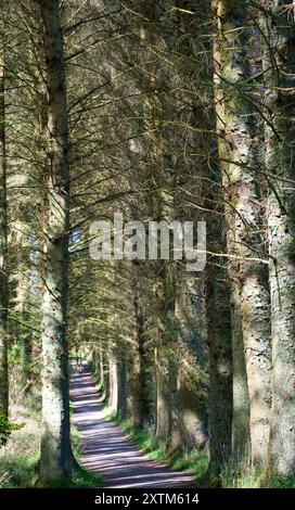 Beecraigs Country Park, Linlithgow Foto Stock