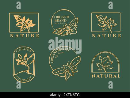 Elegante collezione di loghi botanici su sfondo smeraldo Illustrazione Vettoriale