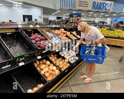 Hallandale Beach, Stati Uniti. 15 agosto 2024. La spesa dei consumatori aumenta perché l'economia sta migliorando e mette da parte la paura della recessione. Walmart il 15 agosto 2024, a Hallandale Beach, Florida. Crediti: SIPA USA/Alamy Live News Foto Stock