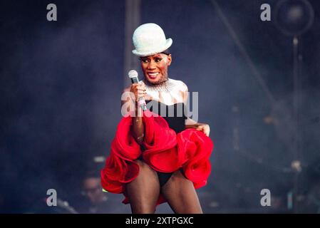 San Francisco, Stati Uniti. 11 agosto 2024. Grace Jones si esibisce all'Outside Lands 2024 Music and Arts Festival che si tiene al Golden Gate Park il 10 agosto 2024 a San Francisco, California. Foto: Annie Lesser/imageSPACE credito: Imagespace/Alamy Live News Foto Stock