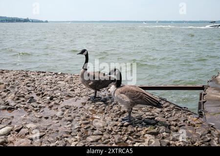 Giornate estive al Presque Isle State Park di Erie, Pennsylvania Foto Stock