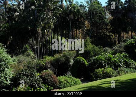 Giardino formale e parco presso la storica Vaucluse House, edifici, alberi, piante e fiori, Sydney, Australia Foto Stock