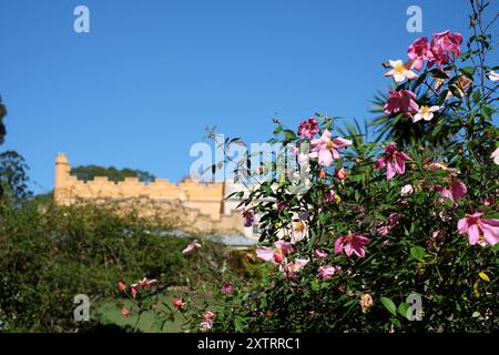 Giardino formale e parco presso la storica Vaucluse House, edifici, alberi, piante e fiori, Sydney, Australia Foto Stock