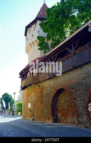 Città vecchia di Sibiu, Romania: Vista da via Cittadella (strada Cetății) alla Torre dei Carpentieri e un frammento del muro difensivo con un battaglione Foto Stock