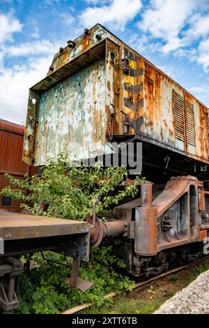 Dettagli di un vecchio treno a vapore arrugginito circondato dal verde in uno scalo ferroviario trascurato Foto Stock