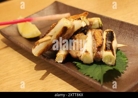 Nagoya cochin (pollo di prima qualità) Yakitori: Negima (pollo e cipolla primaverile) a Nagoya, Giappone Foto Stock