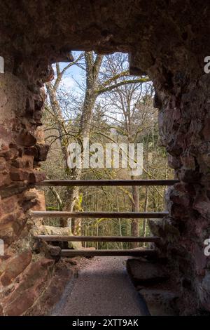 Le rovine del castello in cima alla collina Castello di Zavelstein, a Bad Teinach-Zavelstein, Baden-Württemberg, Germania Foto Stock