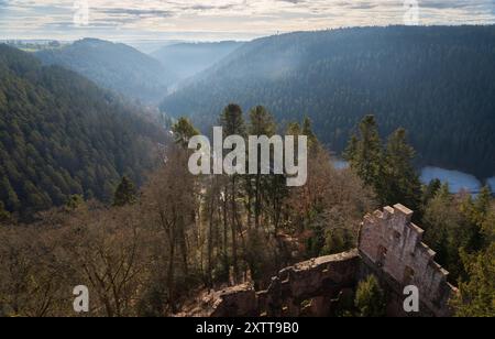 Le rovine del castello in cima alla collina Castello di Zavelstein, a Bad Teinach-Zavelstein, Baden-Württemberg, Germania Foto Stock