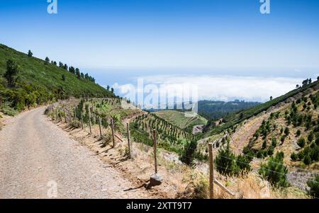 Scendendo lungo una tortuosa strada collinare fino a Ponta do Sol e a sud dell'isola di Madeira. Foto Stock