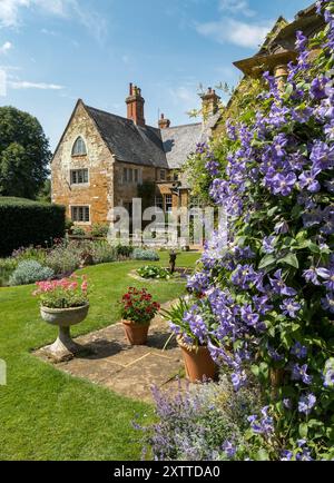 Clematis fiorite in primo piano a Coton Manor House and Gardens in Summer, Northamptonshire, Inghilterra, Regno Unito Foto Stock