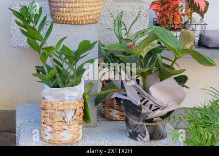 Negozio di fiori e mazzi. Vendita di fiori e regali per le vacanze. Acquista decorazioni. Foto Stock