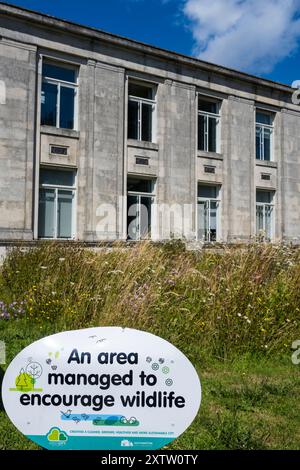 Wildlife Habitat area, Cicic Centre, Southampton, Hampshire, Inghilterra, REGNO UNITO, REGNO UNITO. Foto Stock