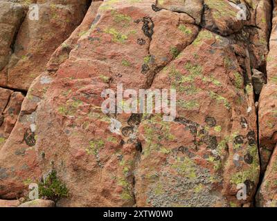 Foto di una superficie di granito rossastro di un masso, adatta per l'uso come texture o sfondo. Il dettaglio in pietra naturale aggiunge un'estetica robusta e terrosa Foto Stock