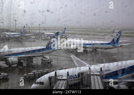 Tokyo, Giappone. 16 agosto 2024. Gli aerei di All Nippon Airways sono raffigurati presso l'aeroporto Haneda di Tokyo, Giappone, 16 agosto 2024. Ampil, il settimo tifone dell'anno, ha colpito il Giappone venerdì, forzando la cancellazione dei servizi di trasporto pubblico. Crediti: Zhang Xiaoyu/Xinhua/Alamy Live News Foto Stock