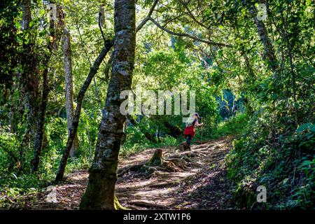 ascensione al vulcano San Pedro 3020 m. parco ecologico del vulcano San Pedro, lago di Atitlán, dipartimento di Sololá , Repubblica del Guatemala, CE Foto Stock