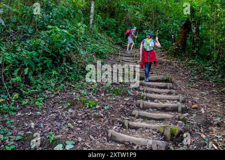 ascensione al vulcano San Pedro 3020 m. parco ecologico del vulcano San Pedro, lago di Atitlán, dipartimento di Sololá , Repubblica del Guatemala, CE Foto Stock