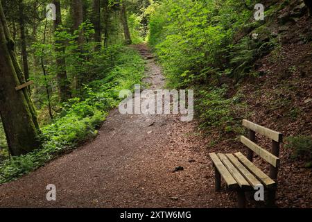 Una panchina di legno lungo il sentiero escursionistico Rabenschlucht (Gola del Raven) Todtmoos, alta Foresta Nera - Germania Foto Stock