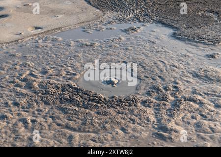 Vulcano di fango attivo a Berca, Buzau, Romania. Questi piccoli tumuli a forma di vulcano, di solito alti pochi metri, sono il risultato di profonde eruzioni vulcaniche di gas. Foto Stock