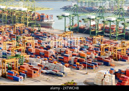 Terminal dei container al Porto di Singapore. Navi cargo attraccate Foto Stock